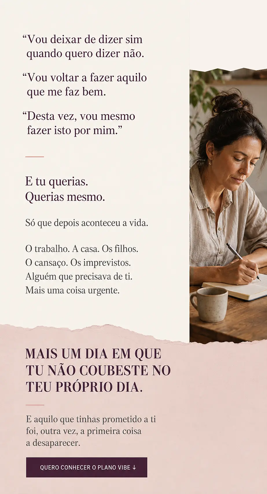 Página de vendas Plano VIBE — parte 2