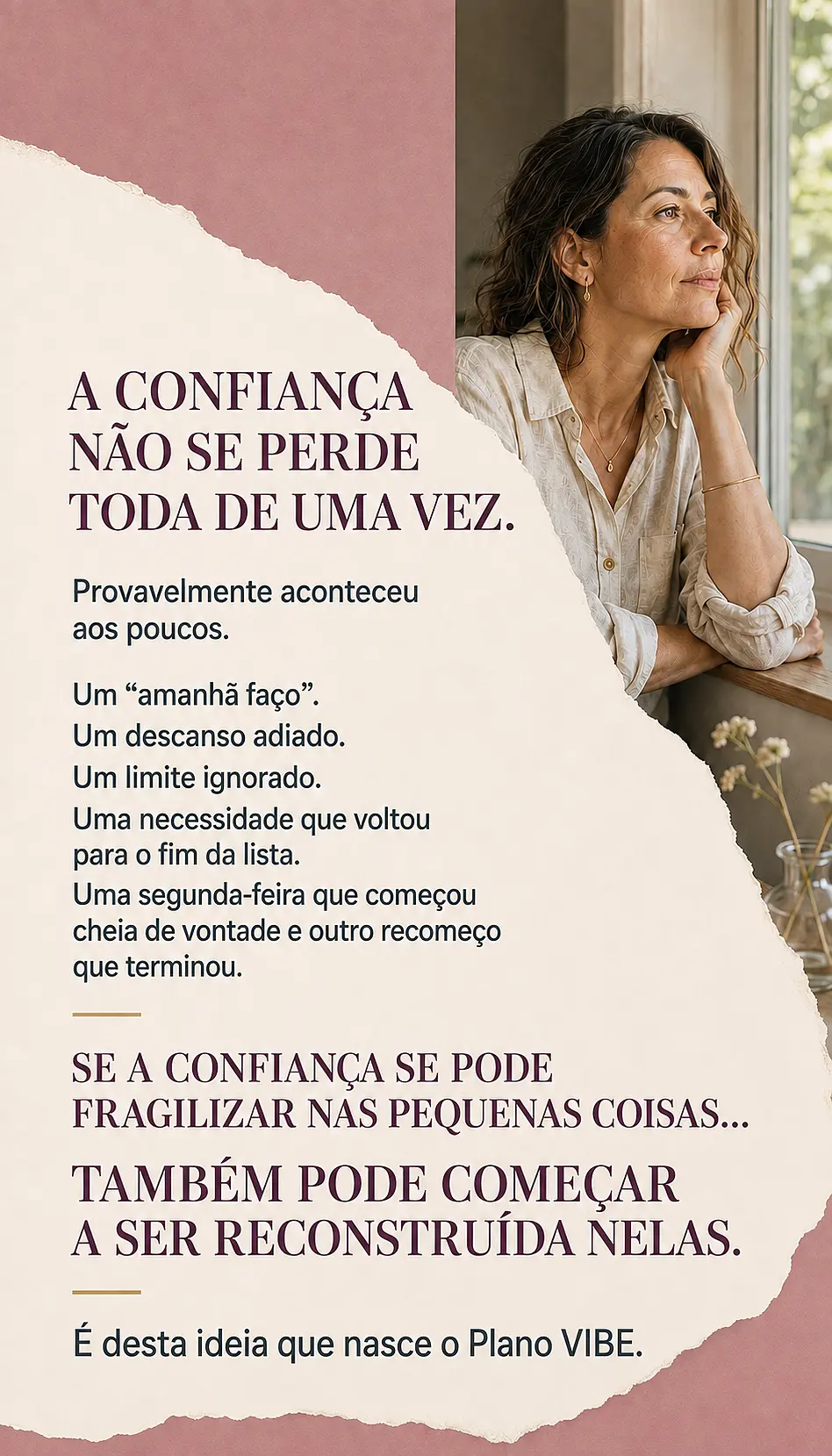 Página de vendas Plano VIBE — parte 7