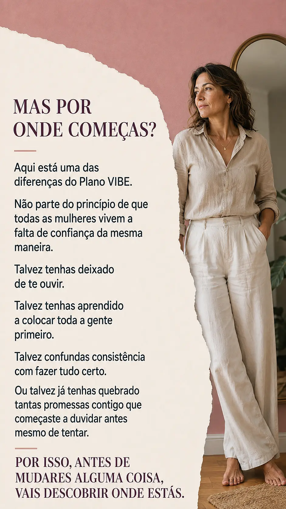 Página de vendas Plano VIBE — parte 10