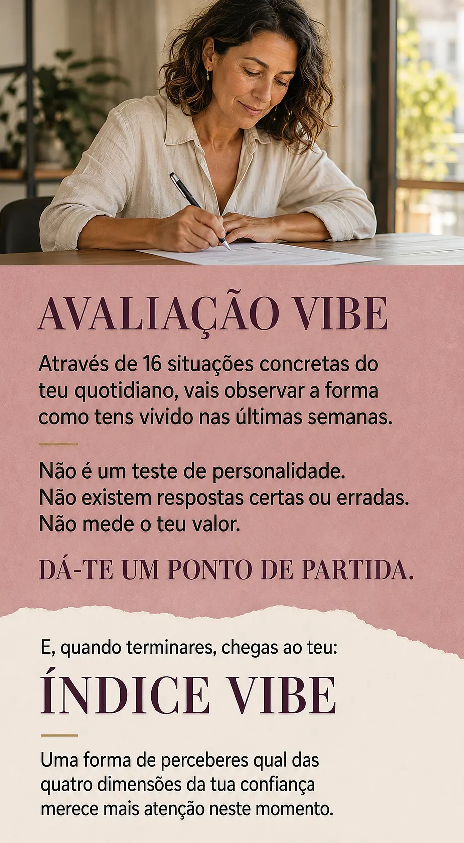 Página de vendas Plano VIBE — parte 11