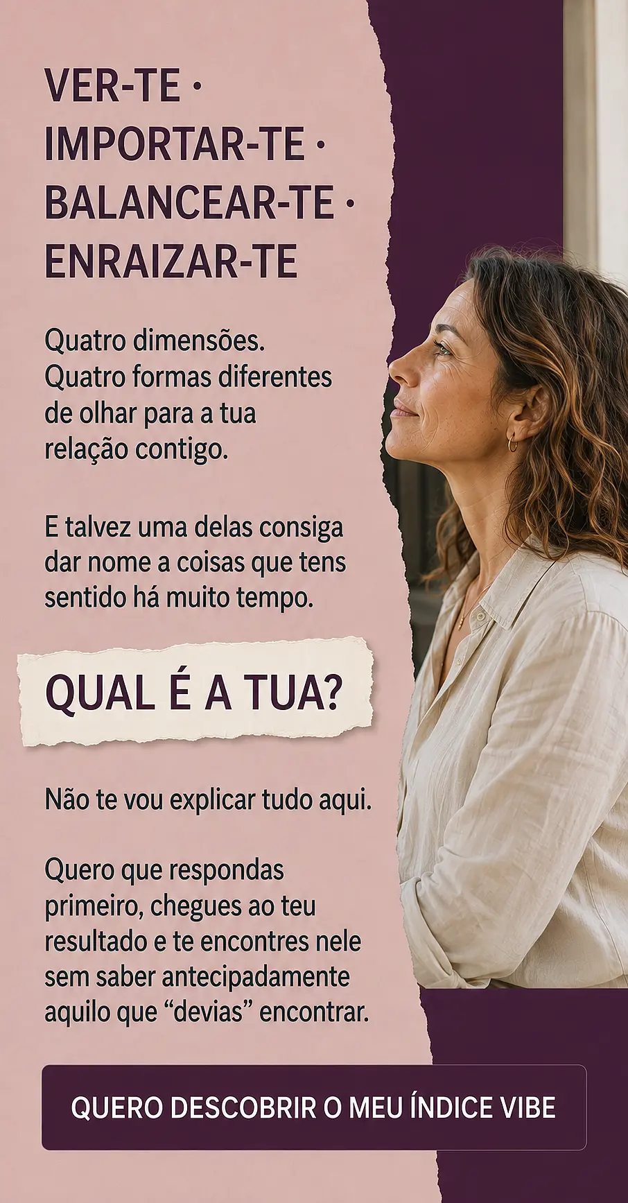 Página de vendas Plano VIBE — parte 12
