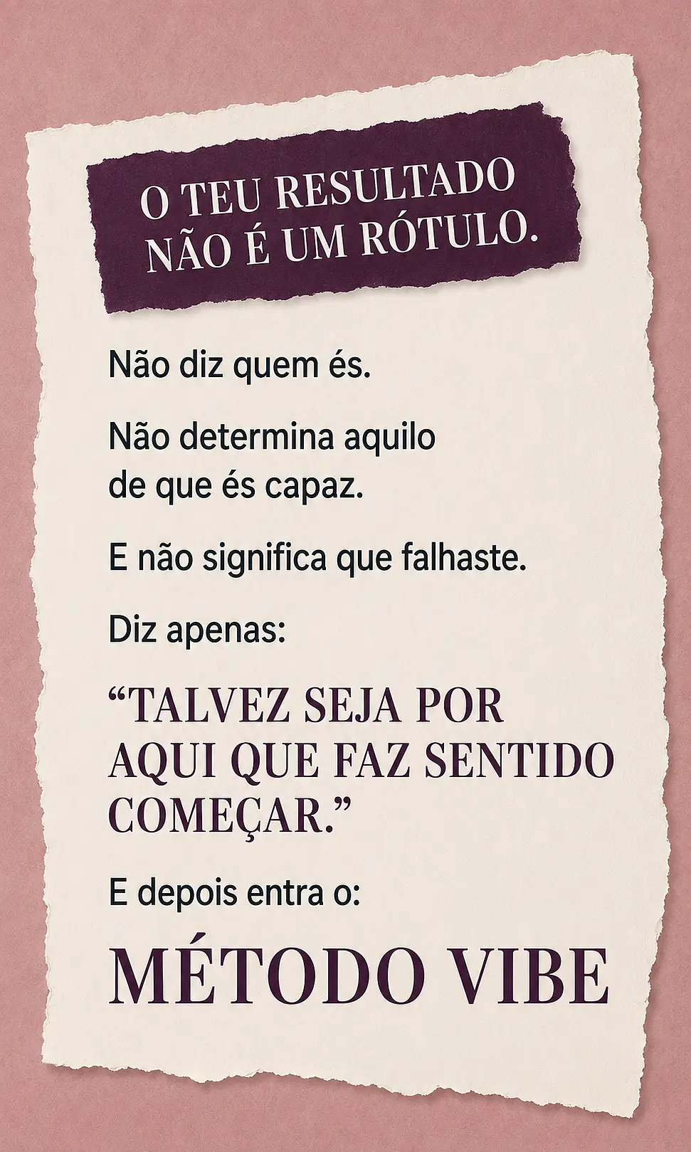 Página de vendas Plano VIBE — parte 13