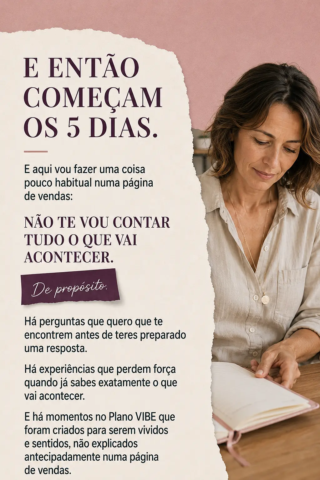 Página de vendas Plano VIBE — parte 15