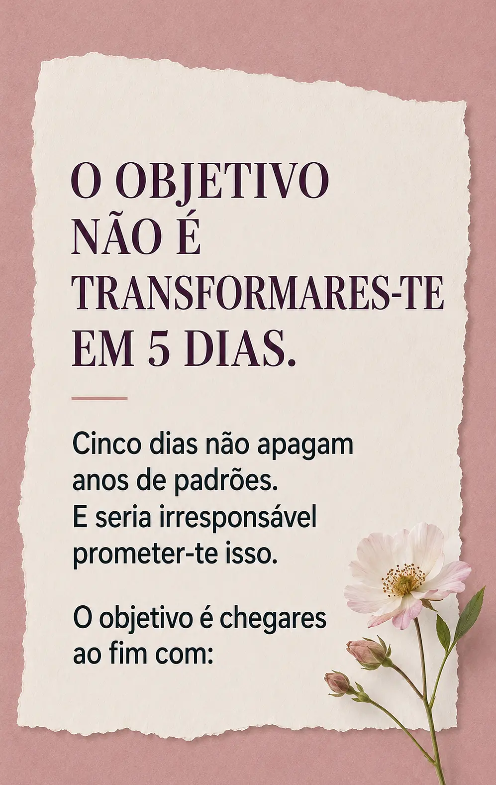 Página de vendas Plano VIBE — parte 17