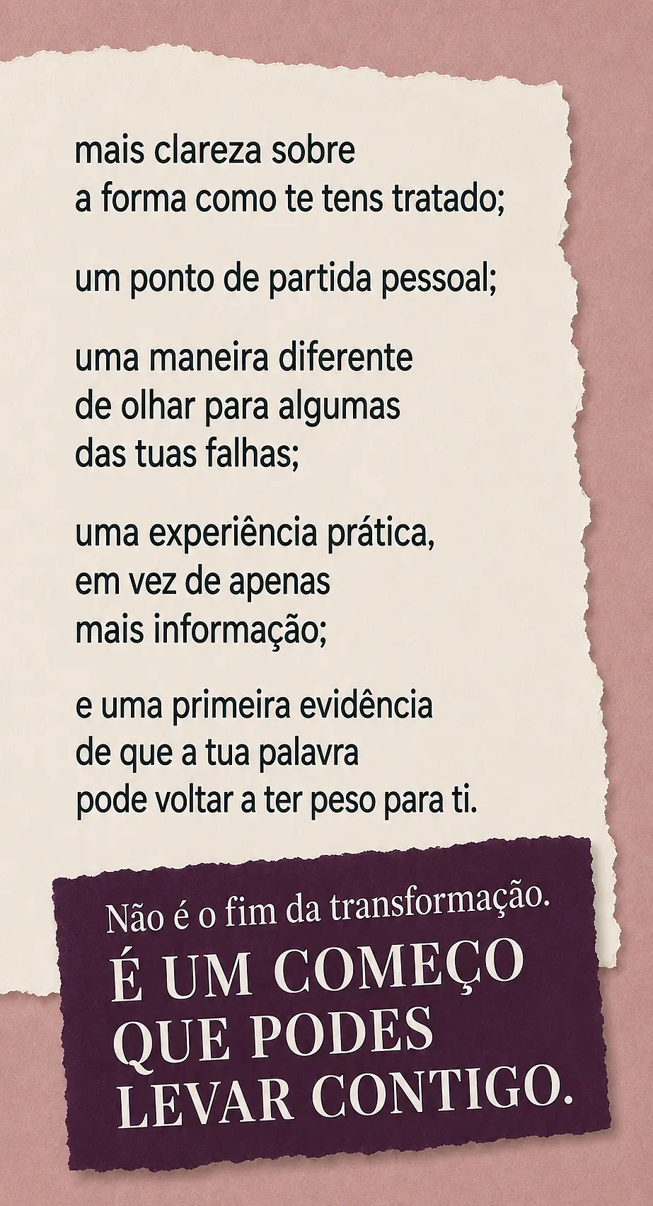 Página de vendas Plano VIBE — parte 18