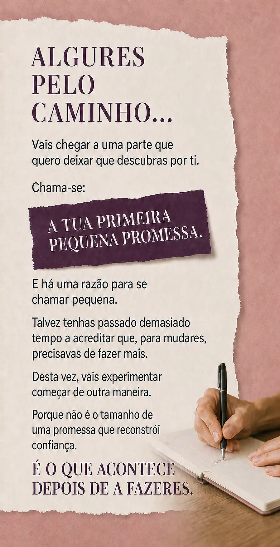 Página de vendas Plano VIBE — parte 19