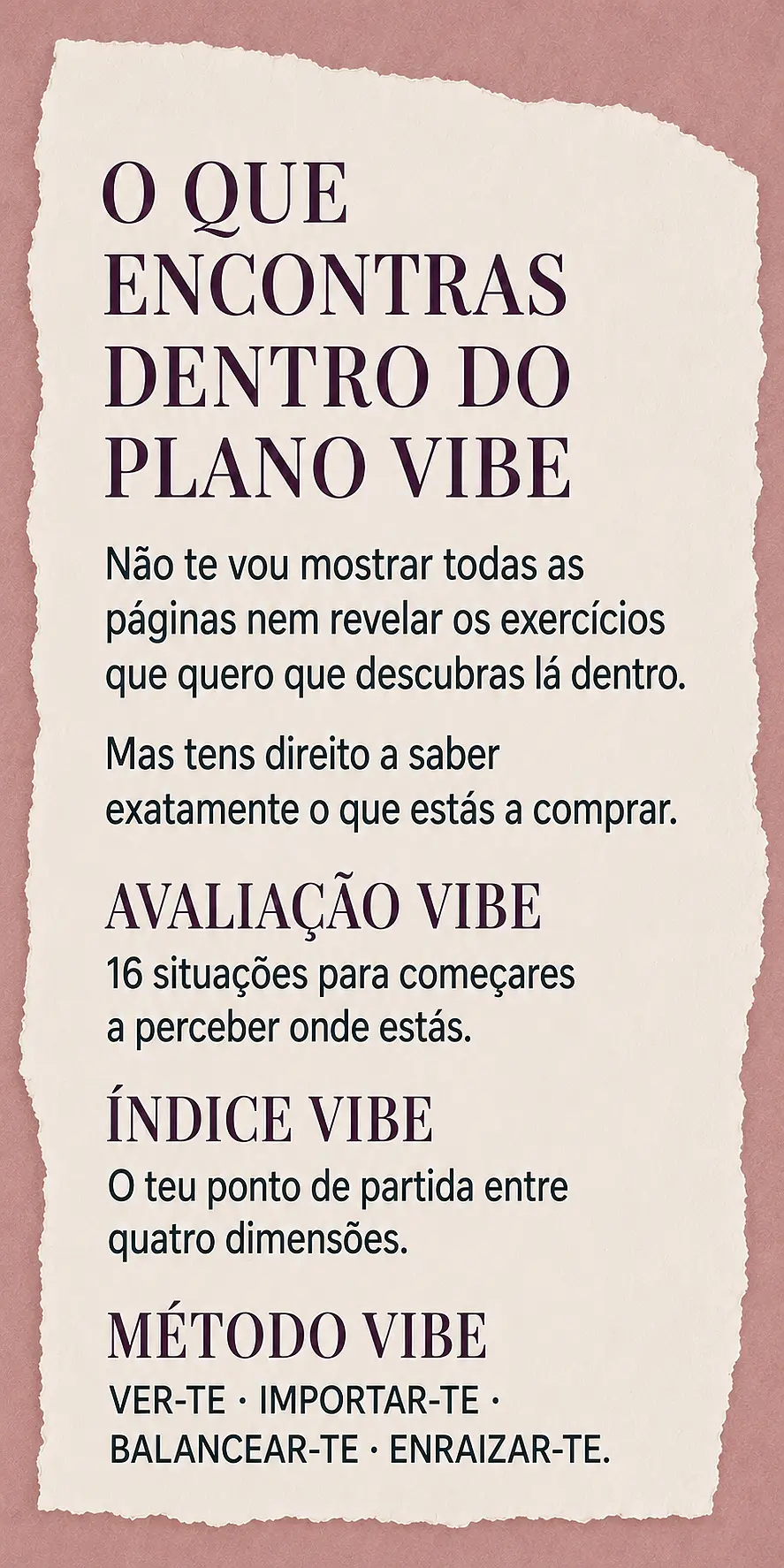Página de vendas Plano VIBE — parte 20