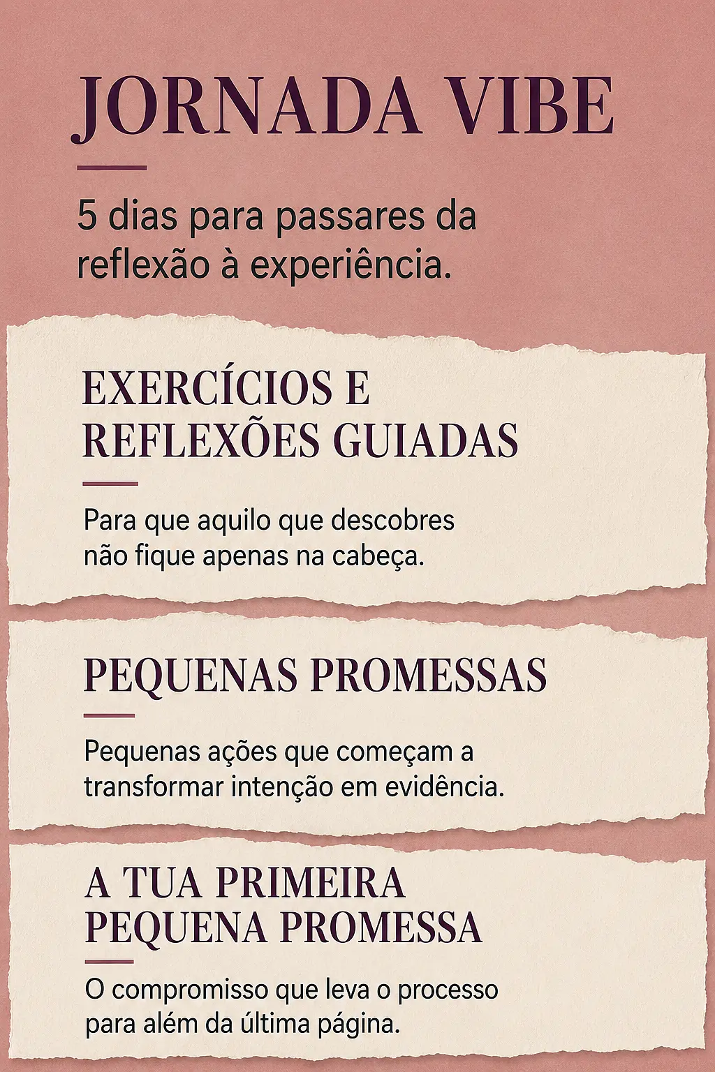 Página de vendas Plano VIBE — parte 21