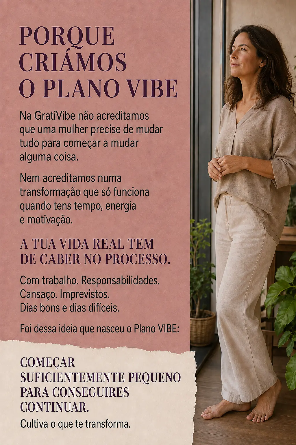 Página de vendas Plano VIBE — parte 26