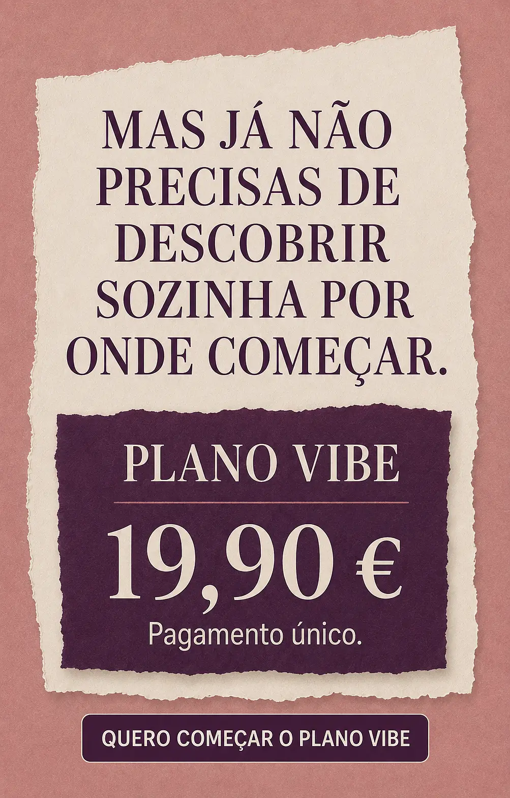 Página de vendas Plano VIBE — parte 28