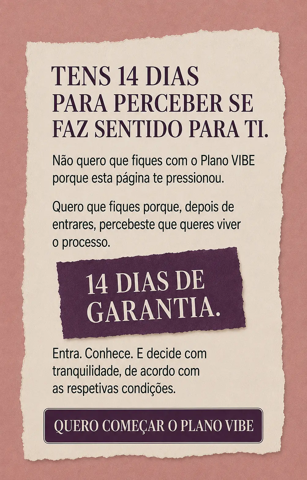 Página de vendas Plano VIBE — parte 30