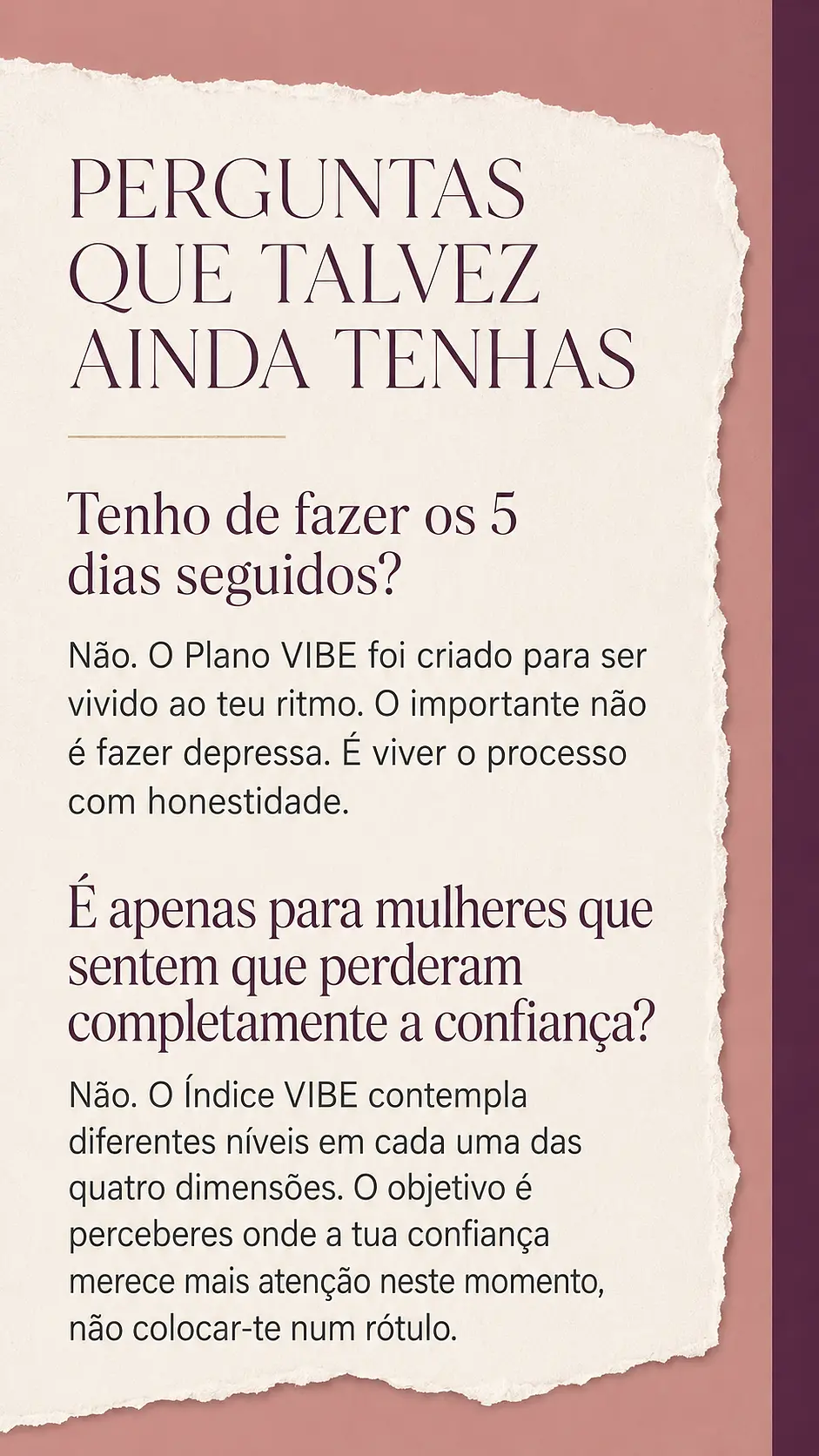 Página de vendas Plano VIBE — parte 31