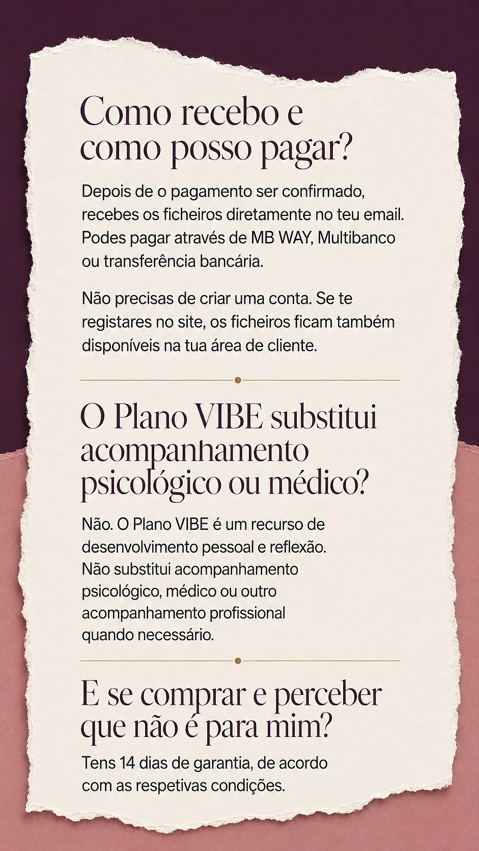 Página de vendas Plano VIBE — parte 33