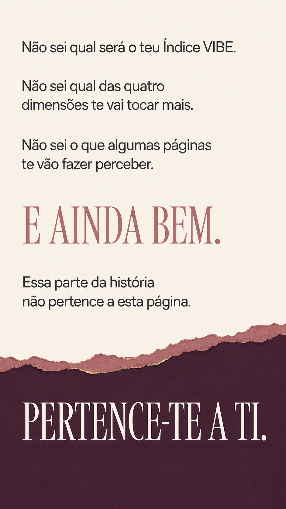 Página de vendas Plano VIBE — parte 36