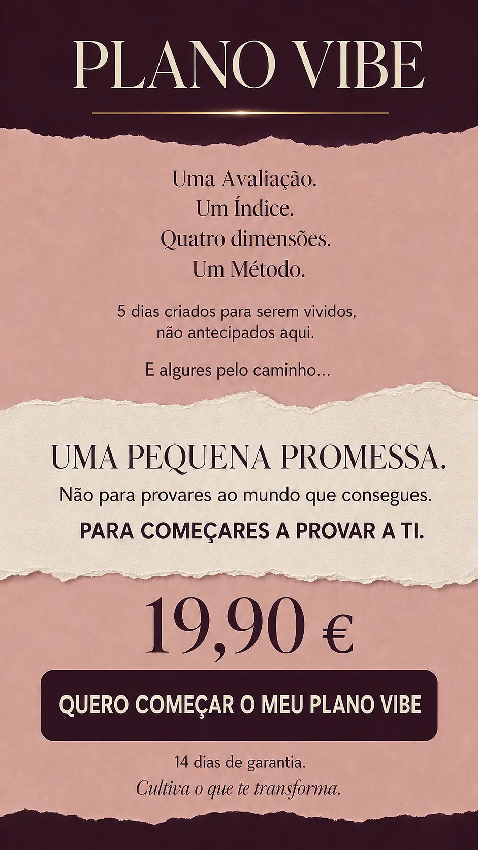 Página de vendas Plano VIBE — parte 37